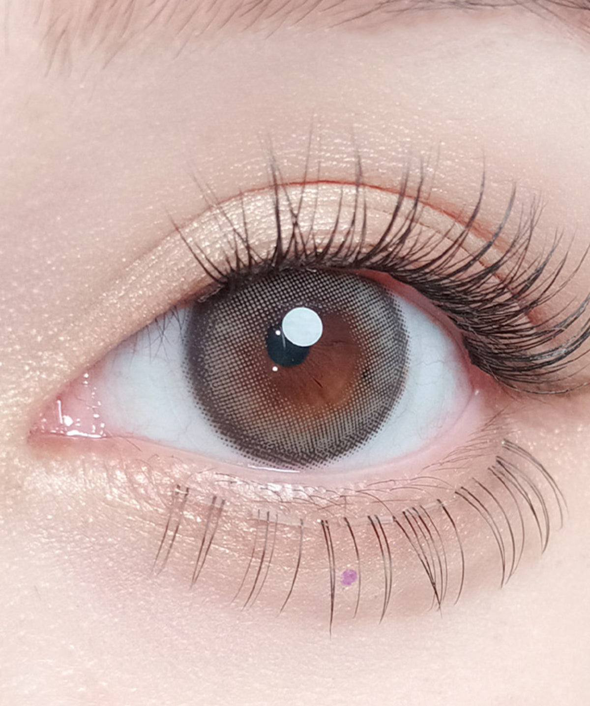 D. Ash Gray – Dia: 14.2mm