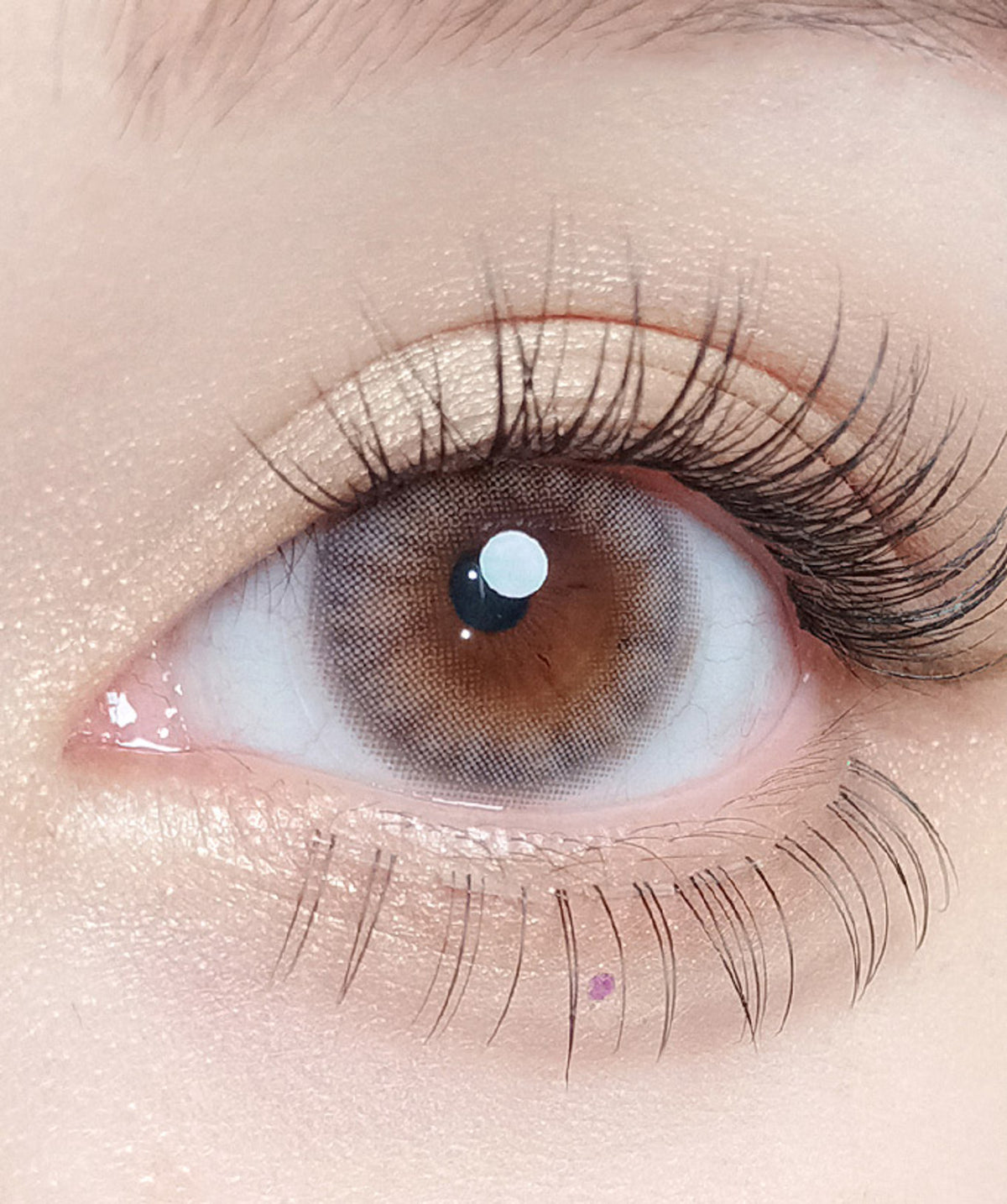 Amuse Gray – Dia: 14.0mm