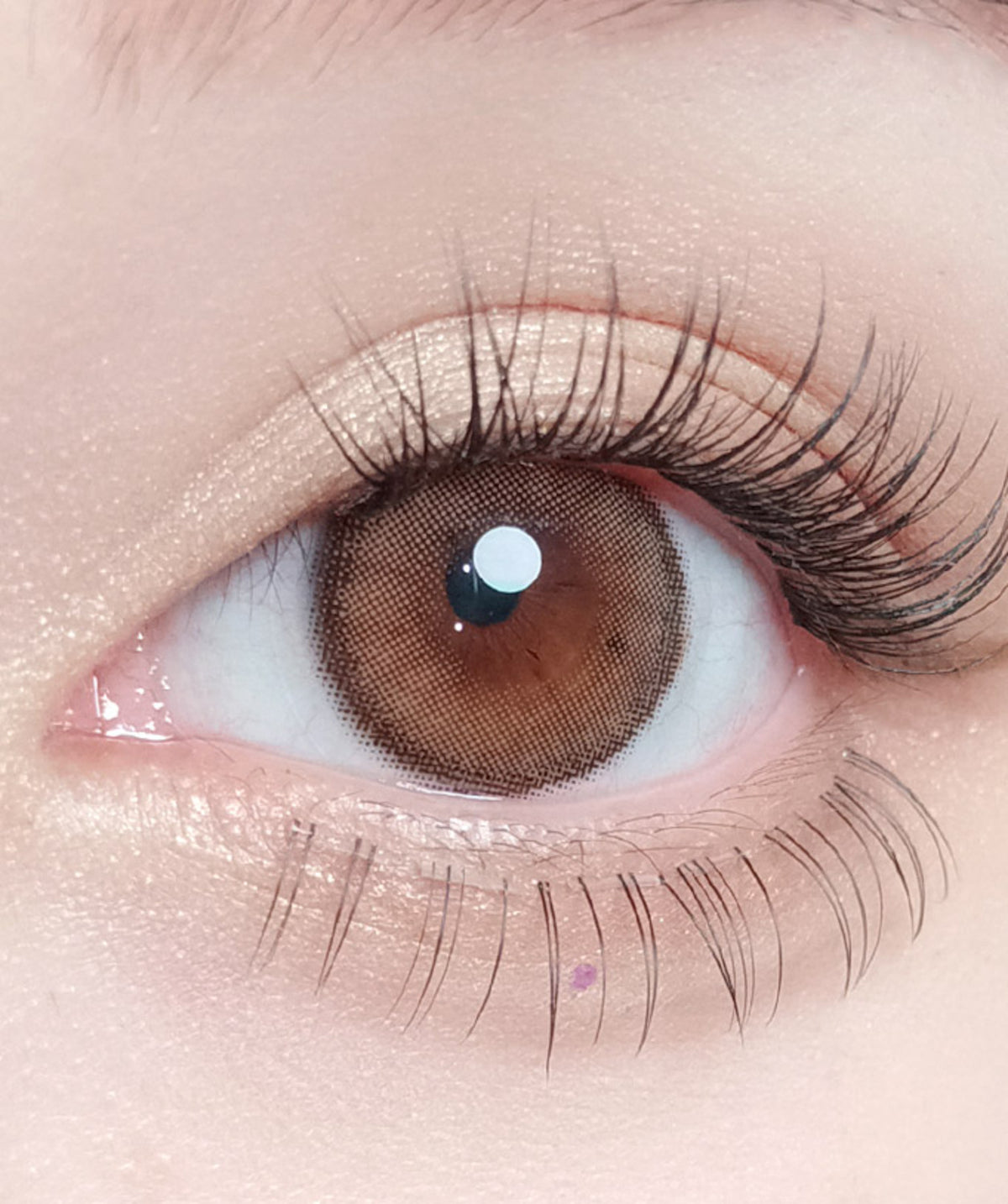 D. Milk Brown – Dia: 14.2mm