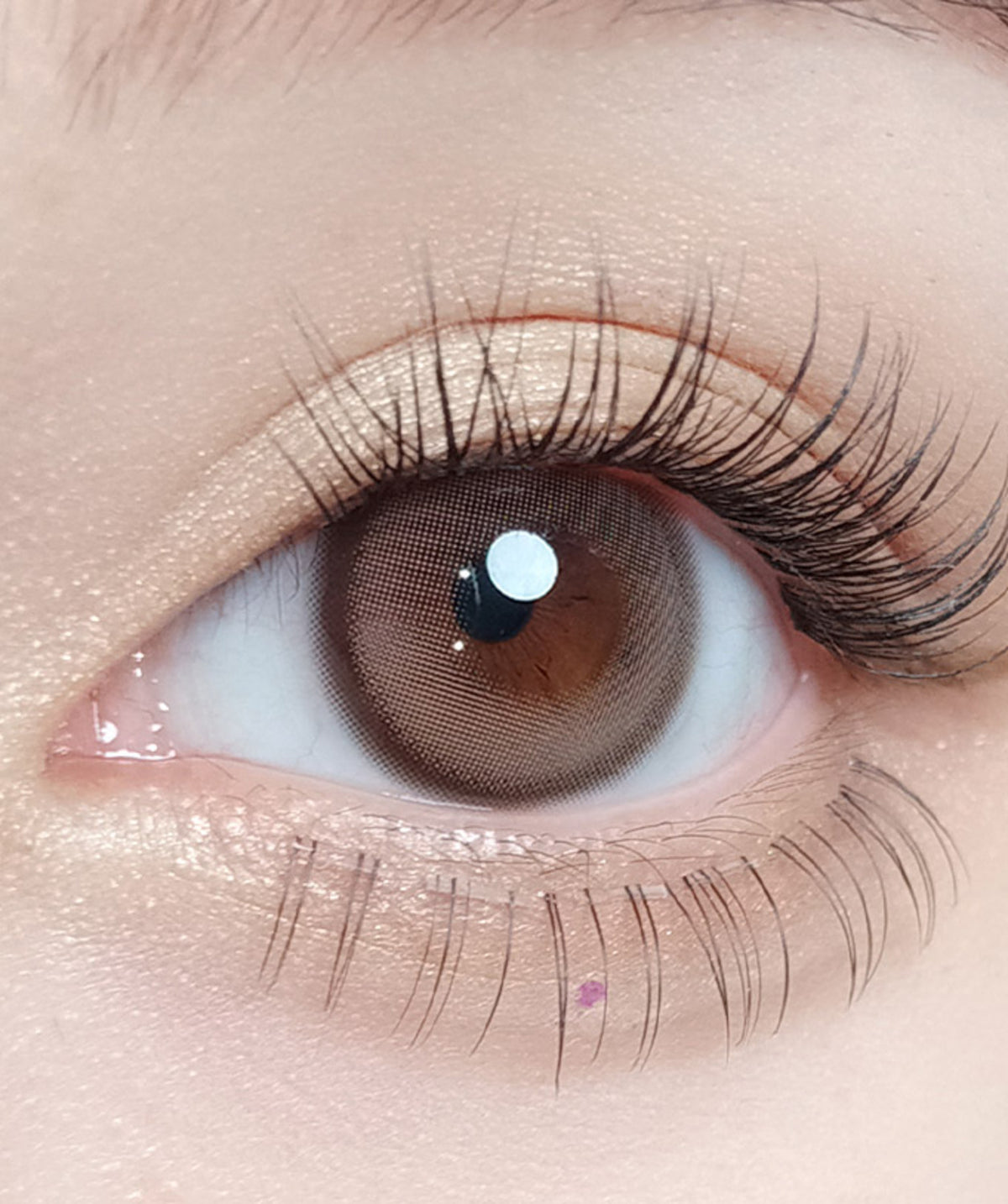 Mauve Choco – Dia: 14.2mm