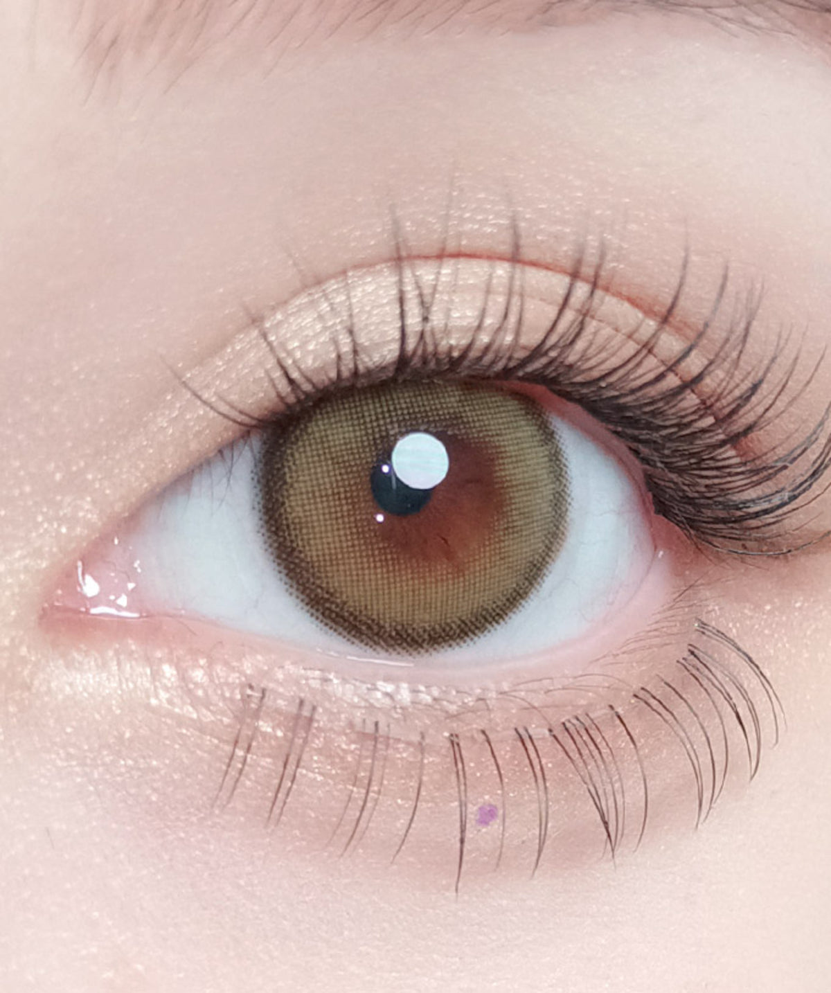 D. Olive Green – Dia: 14.2mm