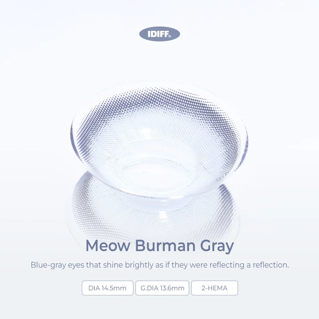 Burman Gray