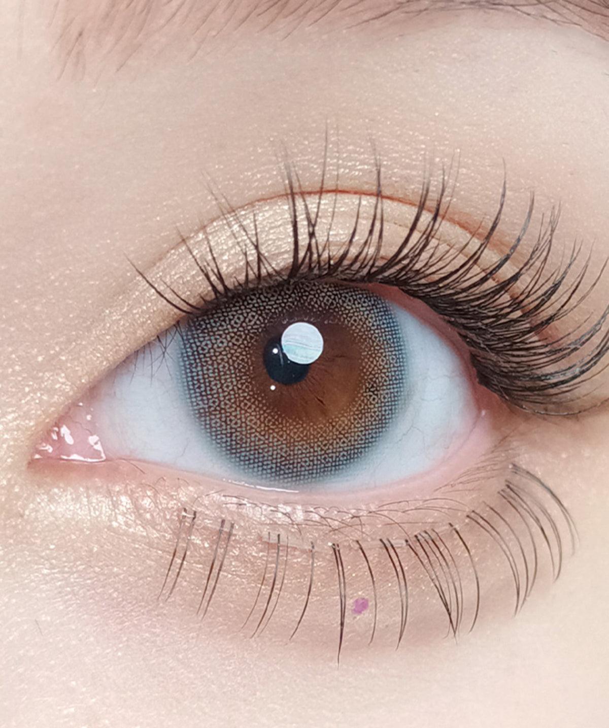 Able Blue – Dia: 14.2mm