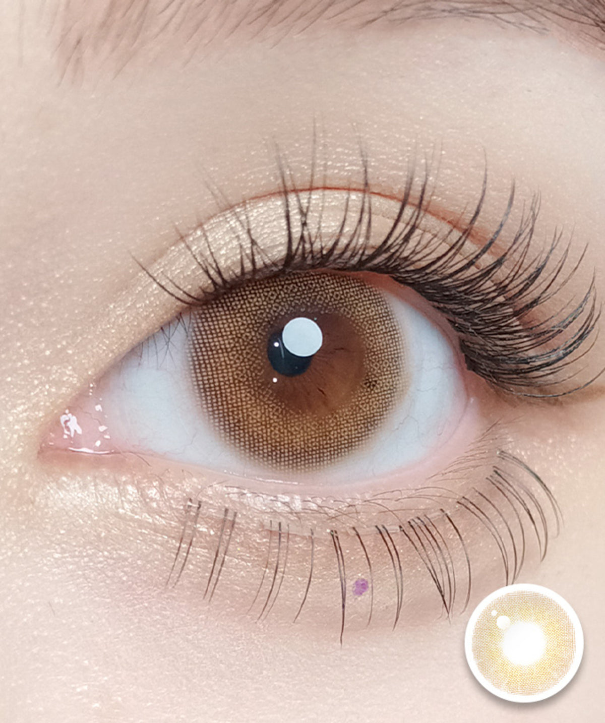 Able Brown – Dia: 14.2mm