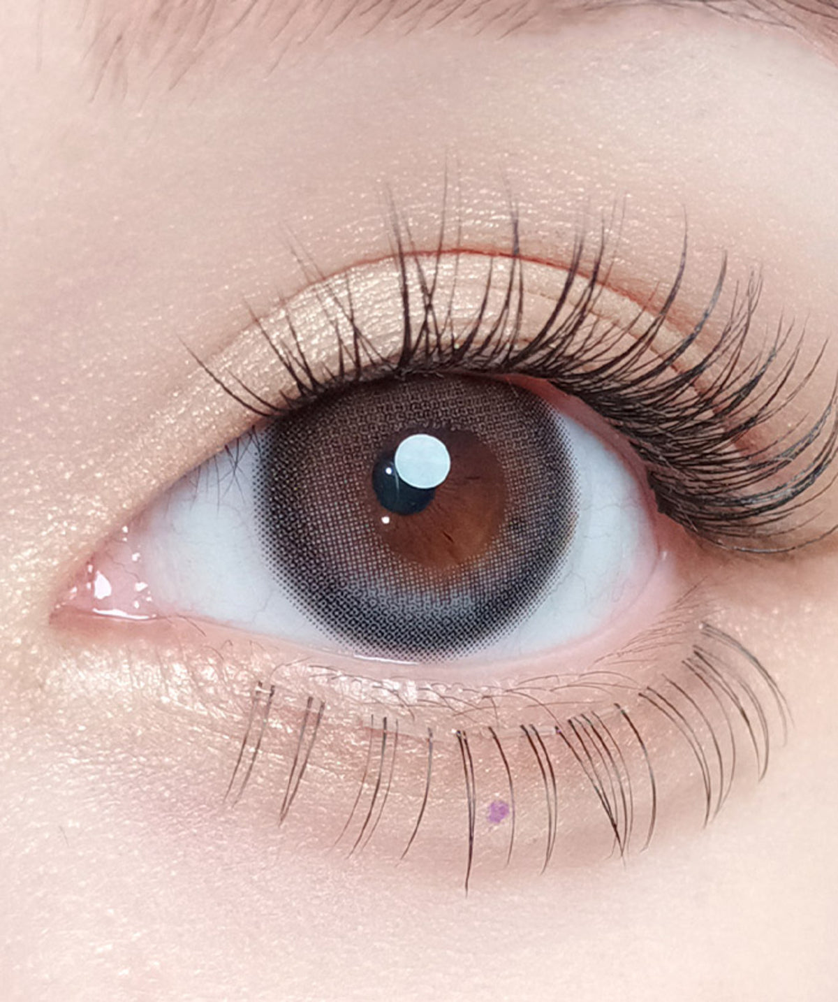 Daymood Gray – Dia: 14.2mm