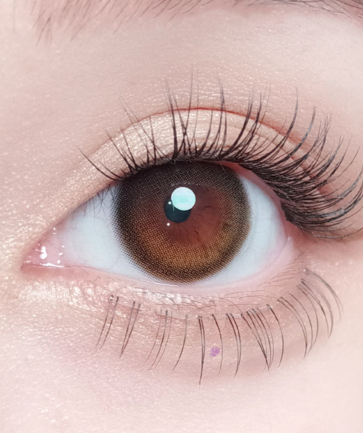Daymood Brown – Dia: 14.2mm