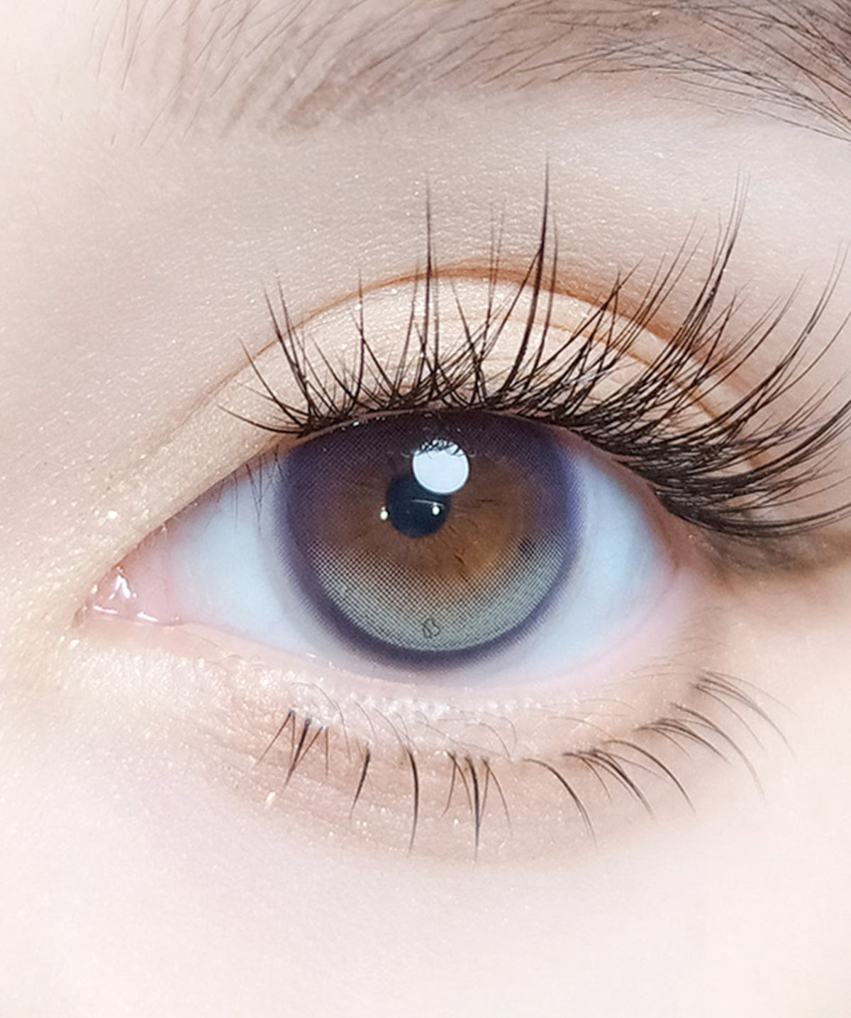 Moss Purple – Dia: 14.0mm