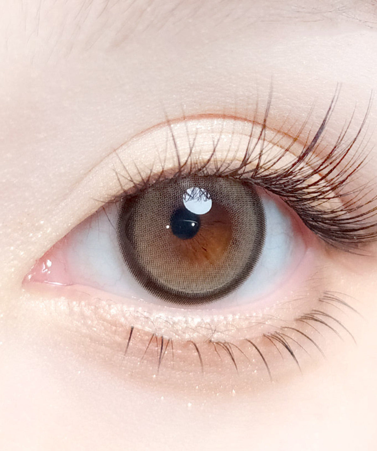 Taupe Beige – Dia: 14.2mm