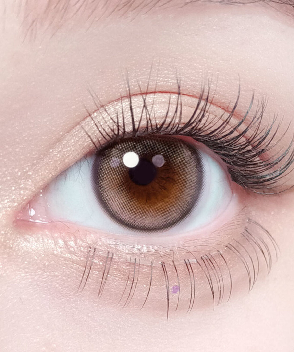 Kitten Beige – Dia: 14.2mm