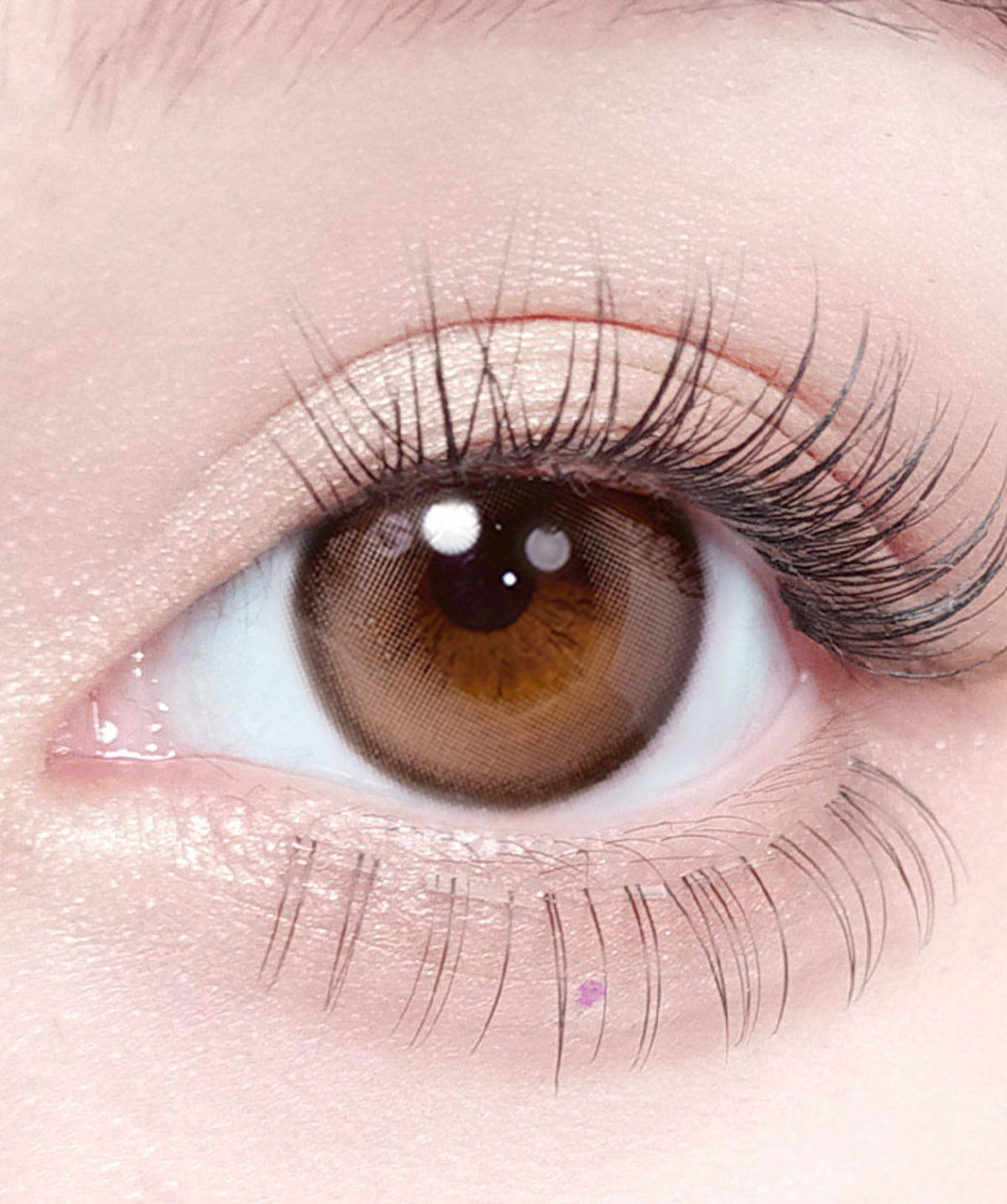 Coon Brown – Dia: 14.5mm