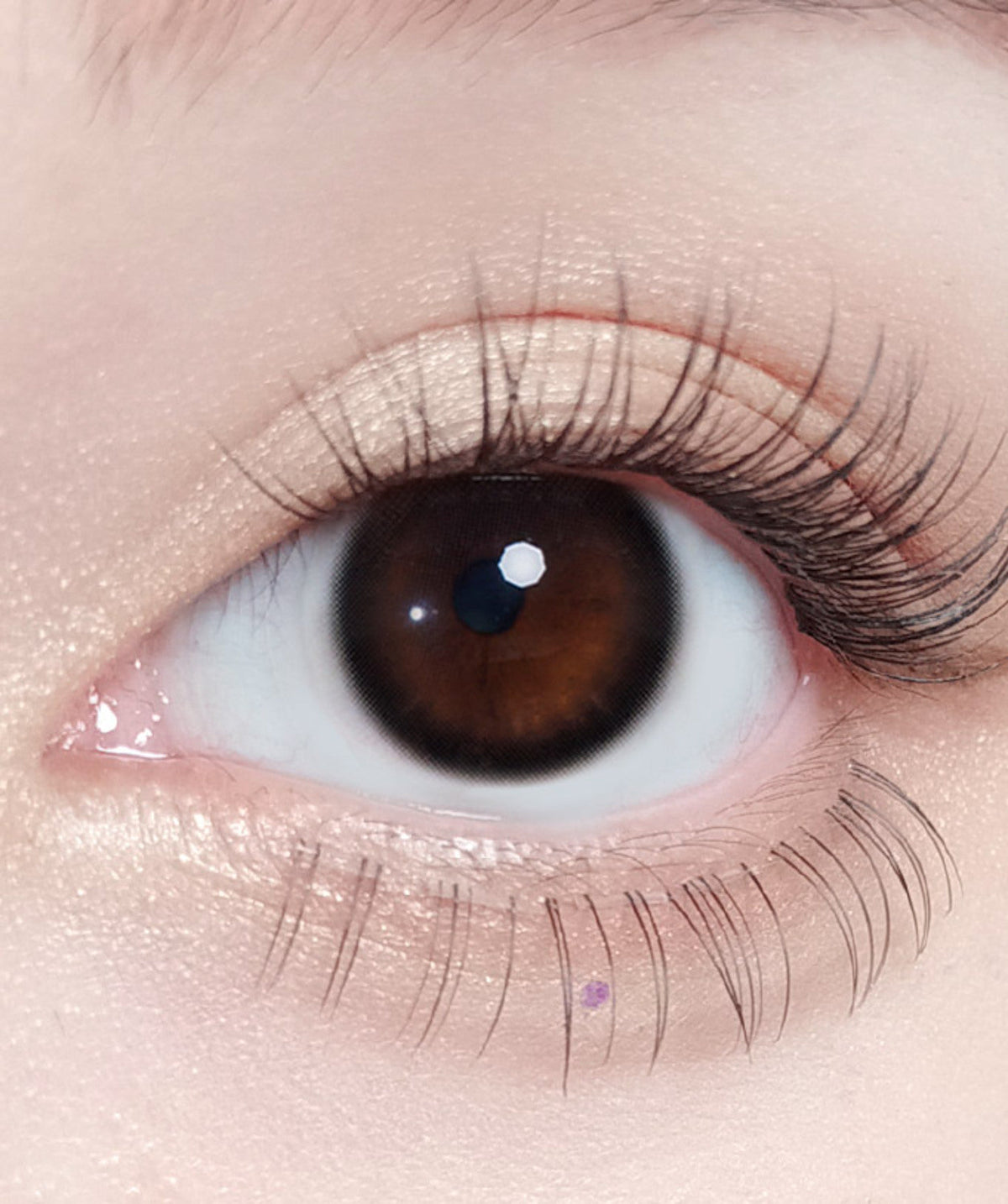 Easy Black – Dia: 14.2mm