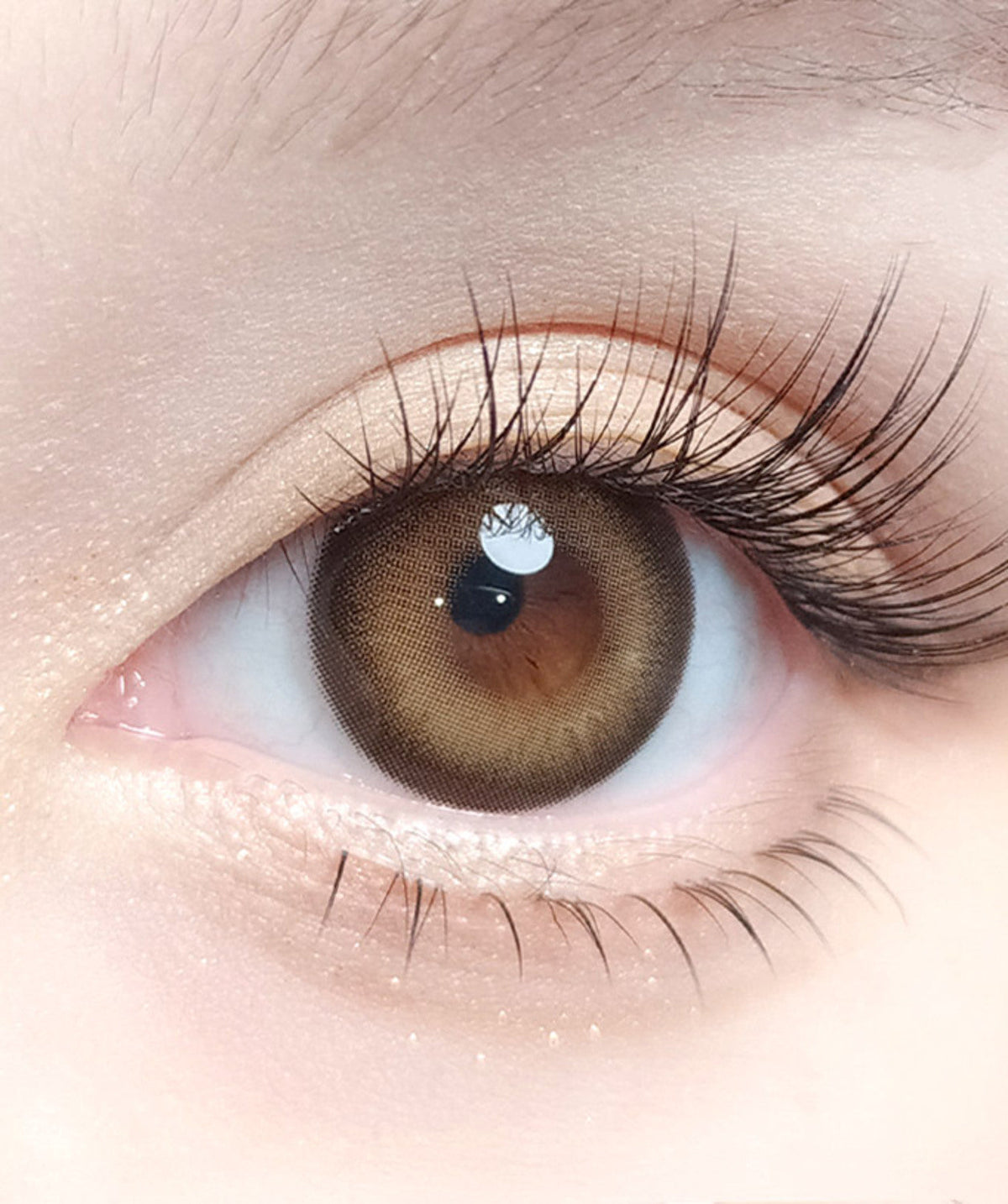 Amber Brown – Dia: 14.2mm