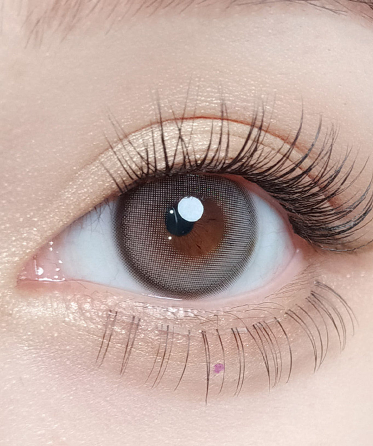 Sheer Gray – Dia: 14.2mm