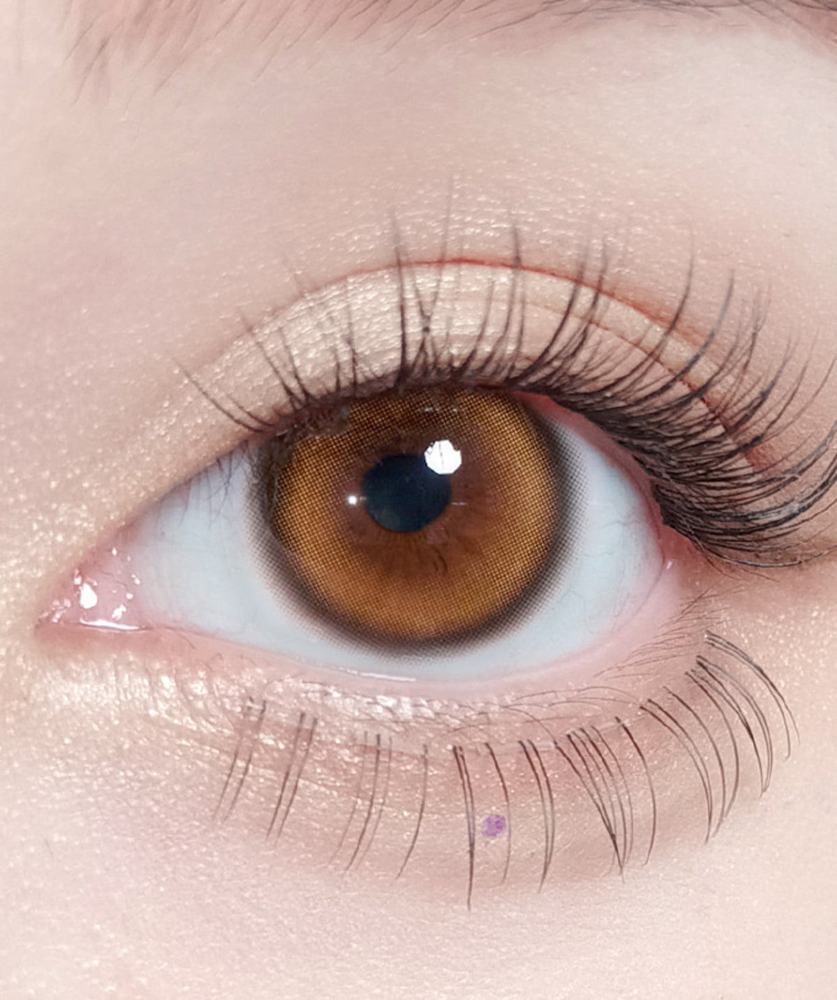 Glee Brown – Dia: 14.2mm