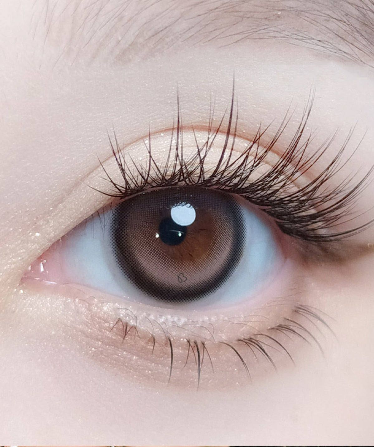 Lune Choco – Dia: 14.0mm
