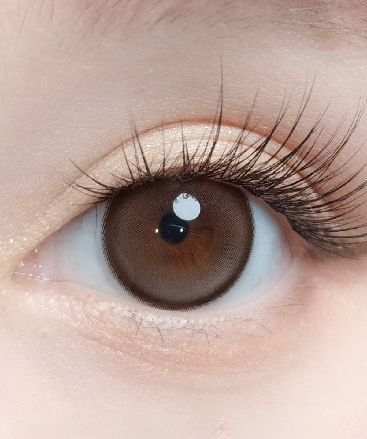Toffee Choco – Dia: 14.5mm