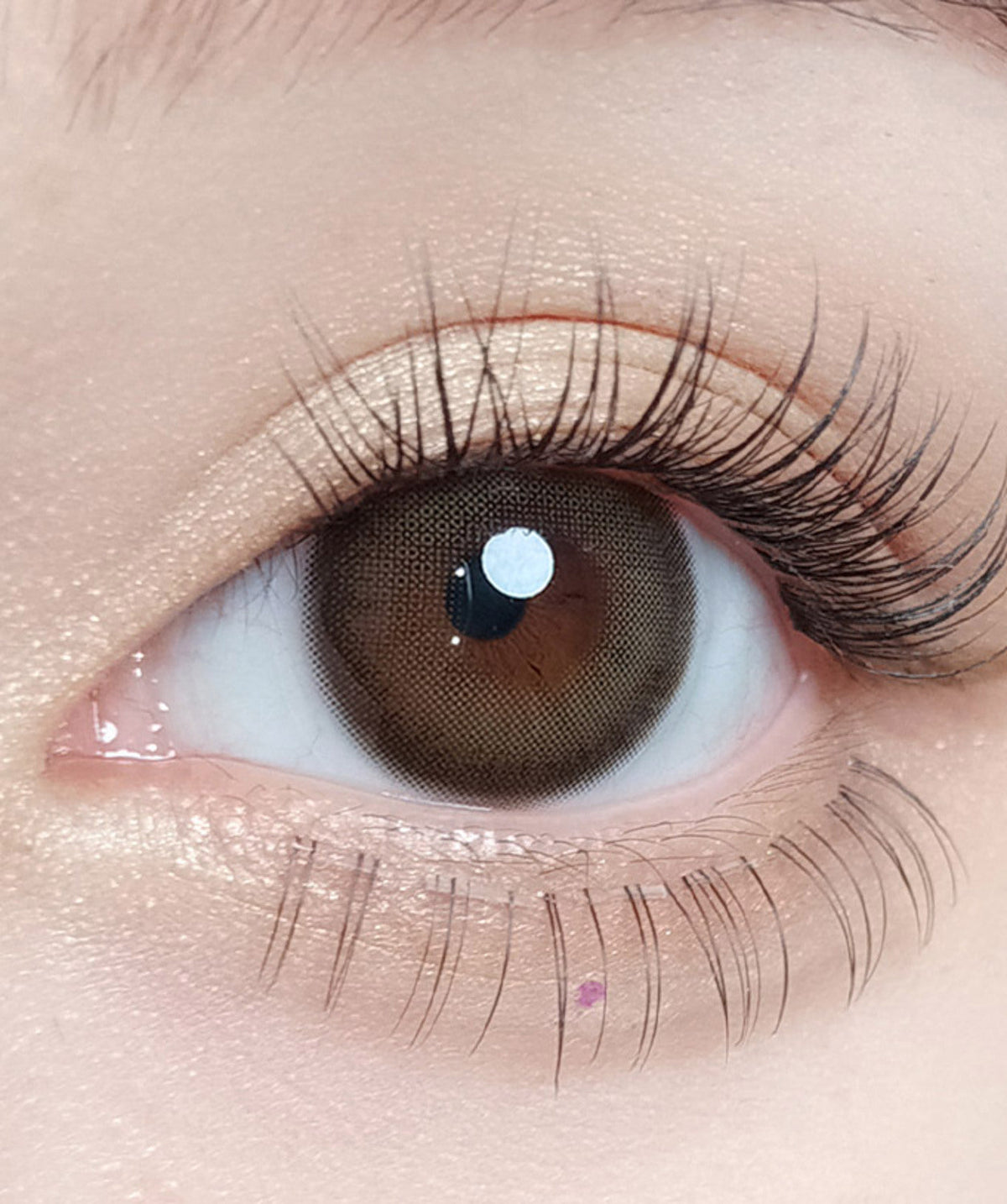 Muted Choco – Dia: 14.2mm