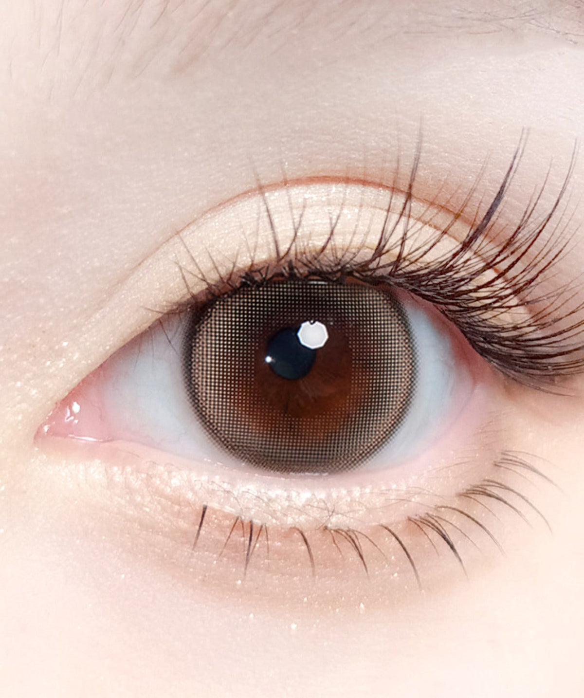 Modish Brown – Dia: 14.2mm
