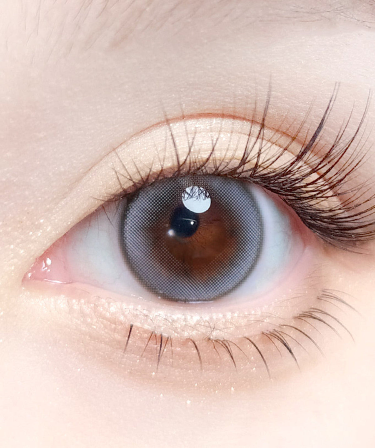Modish Gray – Dia: 14.2mm