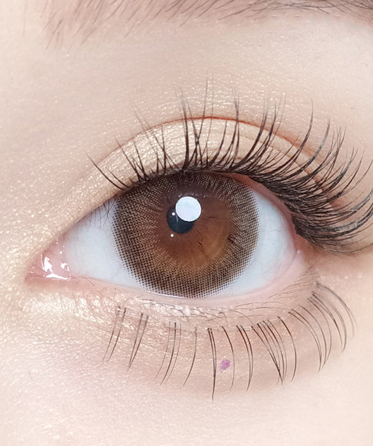 Swany Choco – Dia: 14.2mm