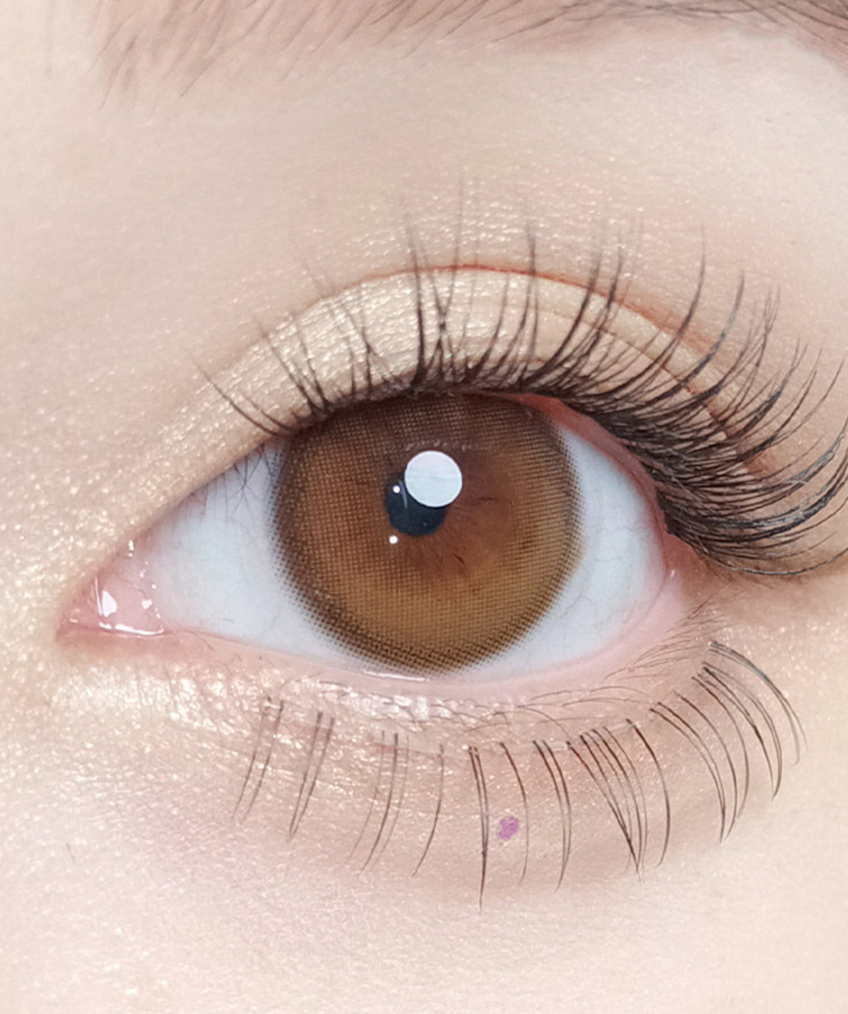 Dahlia Brown – Dia: 14.2mm