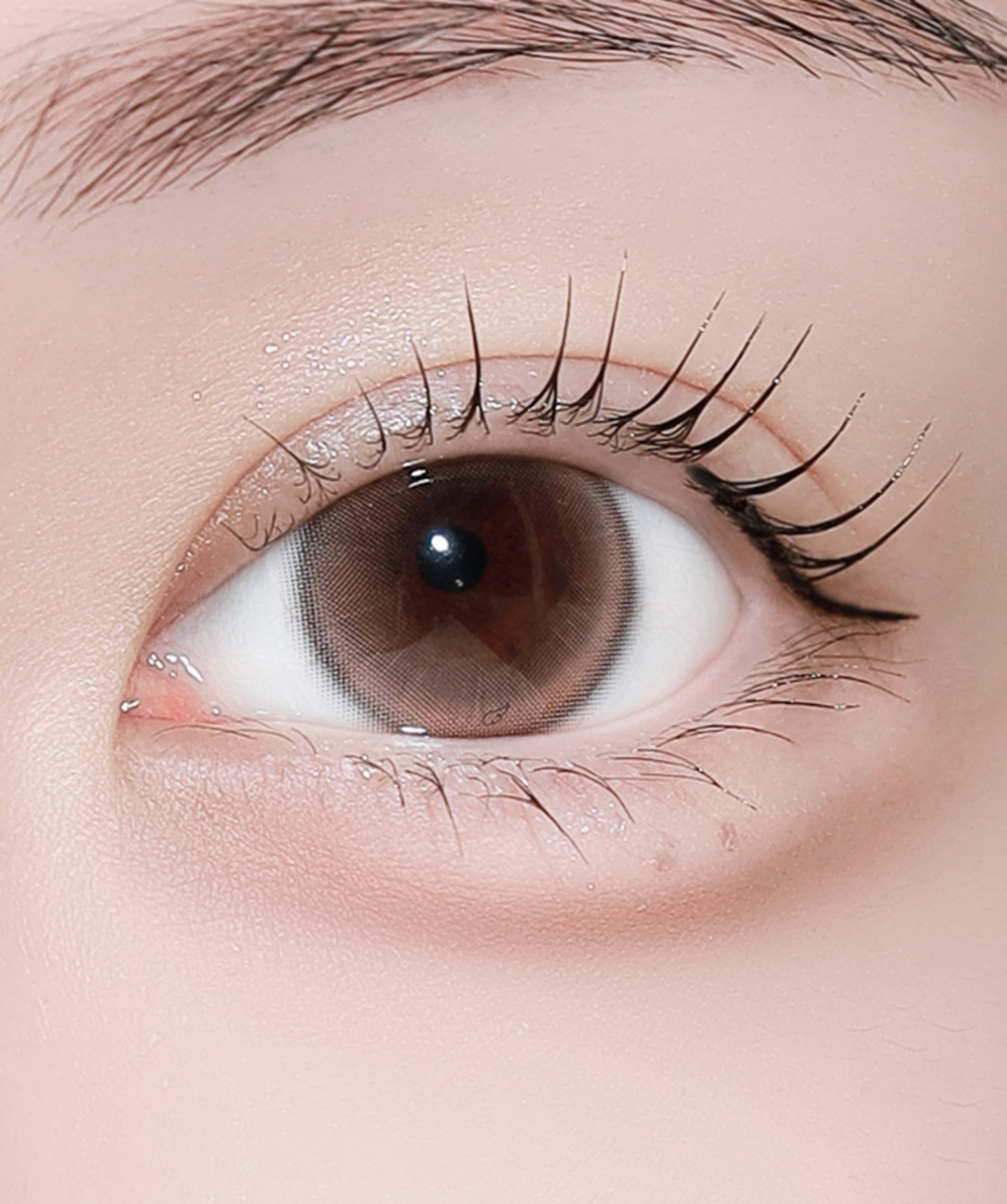 Coco Brown • 14.5 mm