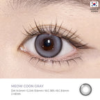 Coon Gray