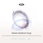 Koshort Gray
