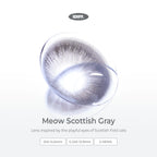 Scottish Gray