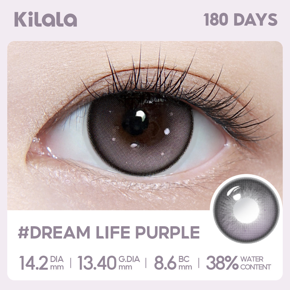 Dream Life Purple