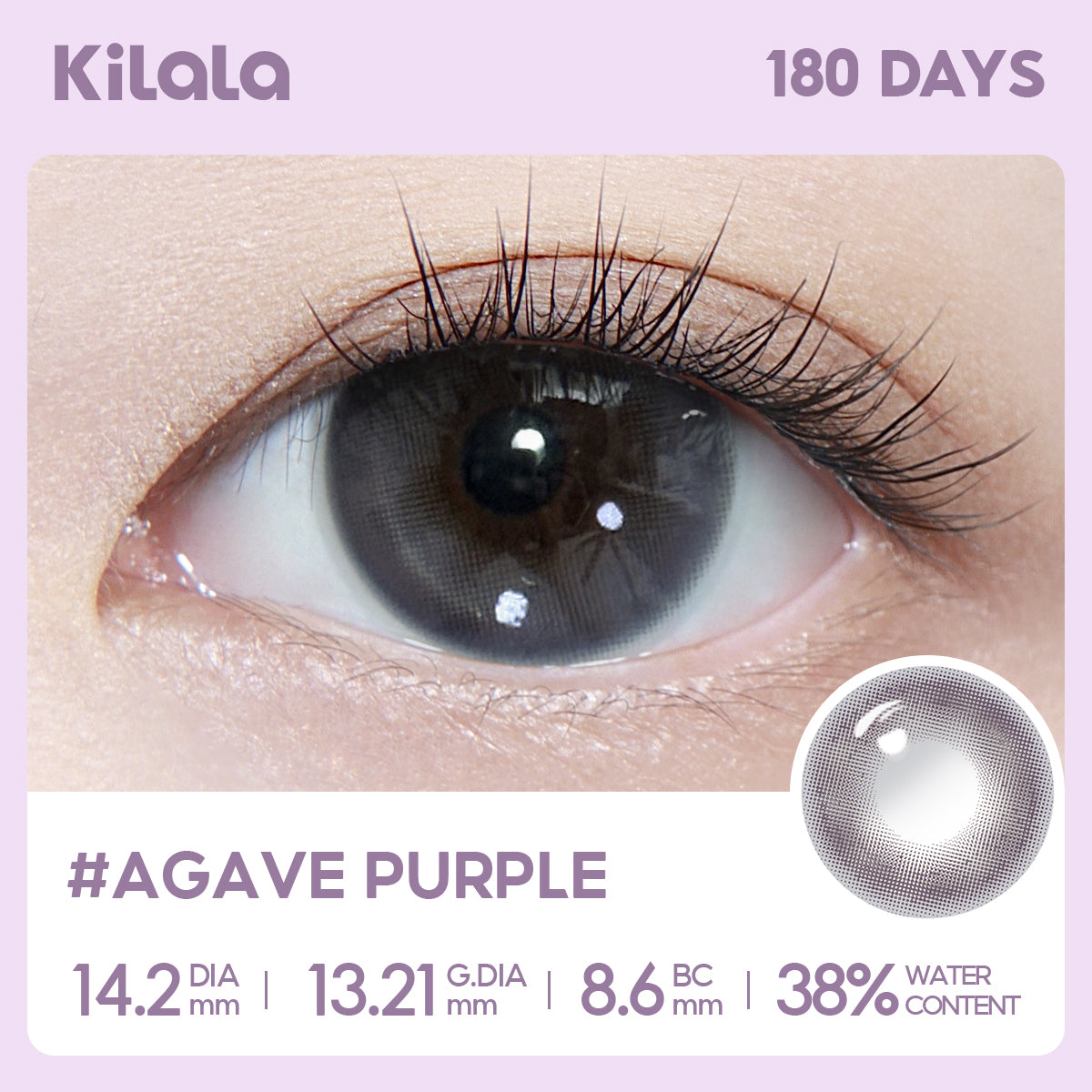 Agave Purple